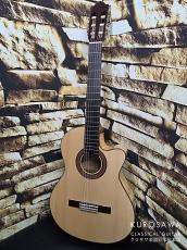 Paco Castillo パコ・カスティージョ 223FCE 松・メイプル【日本総本店2F在庫品】