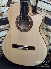 Paco Castillo パコ・カスティージョ 223FCE 松・メイプル【日本総本店2F在庫品】_2