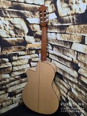 Paco Castillo パコ・カスティージョ 223FCE 松・メイプル【日本総本店2F在庫品】_6