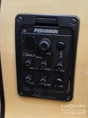 Paco Castillo パコ・カスティージョ 223FCE 松・メイプル【日本総本店2F在庫品】_11