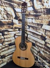 Paco Castillo パコ・カスティージョ 234TE Narrow Neck 松・ローズウッド【日本総本店2F在庫品】