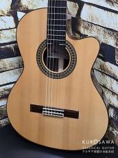 Paco Castillo パコ・カスティージョ 234TE Narrow Neck 松・ローズウッド【日本総本店2F在庫品】_2