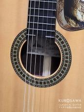 Paco Castillo パコ・カスティージョ 234TE Narrow Neck 松・ローズウッド【日本総本店2F在庫品】_3
