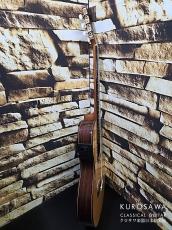Paco Castillo パコ・カスティージョ 234TE Narrow Neck 松・ローズウッド【日本総本店2F在庫品】_8