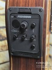 Paco Castillo パコ・カスティージョ 234TE Narrow Neck 松・ローズウッド【日本総本店2F在庫品】_10