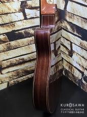 Paco Castillo パコ・カスティージョ 234TE Narrow Neck 松・ローズウッド【日本総本店2F在庫品】_11