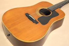 Guild D-50 Bluegrass Special　1975年製_3