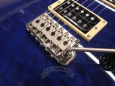 Paul Reed Smith [PRS] SE Custom 24 Meteo Blue_14