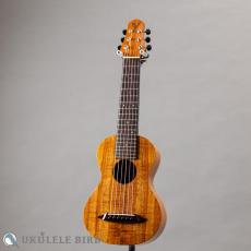 SH Guitars UGS-502