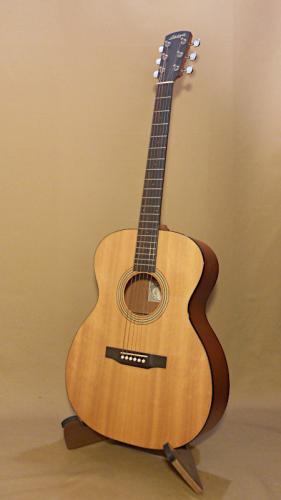 Larrivee OM-02