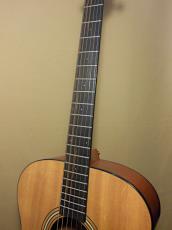 Larrivee OM-02_8