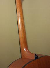Larrivee OM-02_9