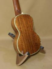 Martin Style-5K_3