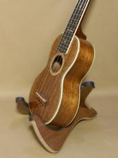 Martin Style-5K_4