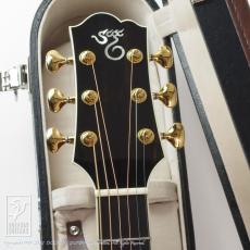 Santa Cruz F-Cutaway (Sinker Redwood)【デモ動画掲載】_6