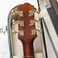 Santa Cruz F-Cutaway (Sinker Redwood)【デモ動画掲載】_7