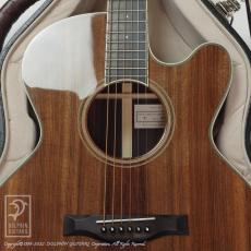 Santa Cruz F-Cutaway (Sinker Redwood)【デモ動画掲載】_12