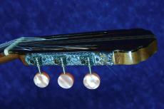 ＤＩ　ＧＩＯＲＧＩＯ ESTUDANTE　NO.18　松/ローズ_5