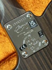 Fender George Harrison Rosewood Telecaster, Rosewood Fingerboard, Natural_4