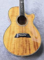 Takamine 【オール・コアモデル】DMP100K N