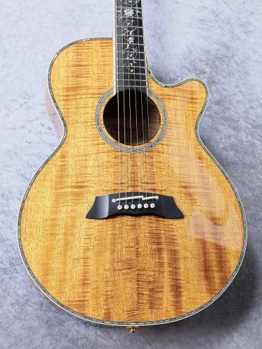 Takamine 【オール・コアモデル】DMP100K N