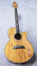 Takamine 【オール・コアモデル】DMP100K N_2