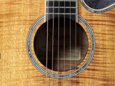 Takamine 【オール・コアモデル】DMP100K N_5