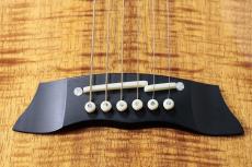 Takamine 【オール・コアモデル】DMP100K N_6