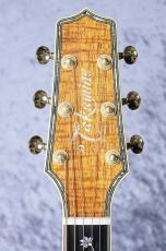 Takamine 【オール・コアモデル】DMP100K N_11
