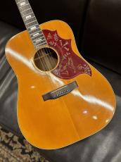 Gibson 【Gibson Expo 出展品】Humming Bird【1976年製】