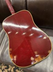 Gibson 【Gibson Expo 出展品】Humming Bird【1976年製】_3