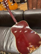 Gibson 【Gibson Expo 出展品】Humming Bird【1976年製】_4