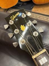 Gibson 【Gibson Expo 出展品】Humming Bird【1976年製】_5