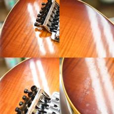 MUSIC MAN EVH_7