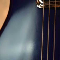 Rickenbacker 610_8