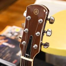YAMAHA SG-80_3
