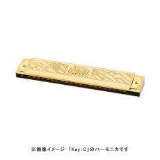 TOMBO No.1921 超特急 G調 21穴 複音ハーモニカ