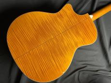 Taylor 614ce_8