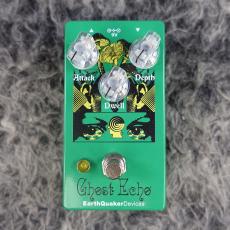 Earth Quaker Devices Brain Dead Ghost Echo_2