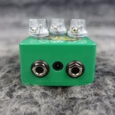Earth Quaker Devices Brain Dead Ghost Echo_7