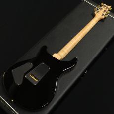 Paul Reed Smith [PRS] Custom24 2016 Limited Swamp Ash【美品・3.32kg】_5