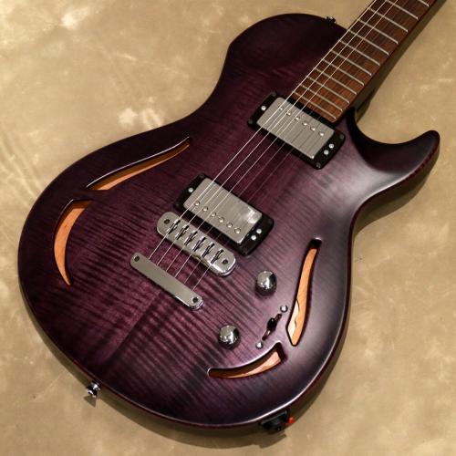 Vigier G.V. Series G.V.Wood Hollow, VGV-CWHW, Purple Fade