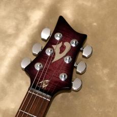Vigier G.V. Series G.V.Wood Hollow, VGV-CWHW, Purple Fade_4