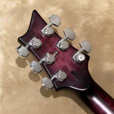 Vigier G.V. Series G.V.Wood Hollow, VGV-CWHW, Purple Fade_5