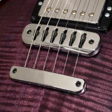 Vigier G.V. Series G.V.Wood Hollow, VGV-CWHW, Purple Fade_7