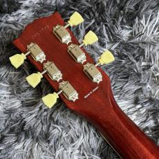 Tokai LS-101F VF (Violin Finish) 【旧価格で!】【2026年製】【日本製】_7