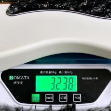 Bacchus GS-2DX RSM/P PWH-MH -Univers Series- 【特価】【SPOTモデル】【ステンレスフレット】_11