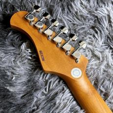 Bacchus BTE-1DX RSM/M GB-B -Universe Series- 【特価】【ステンレスフレット】_6