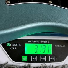 Bacchus GS-2DX RSM/M IBM -Univers Series- 【特価】【ステンレスフレット】_10
