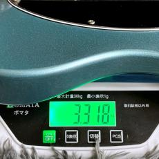 Bacchus BTE-1DX RSM/M IBM -Univers Series- 【特価】【ステンレスフレット】_10